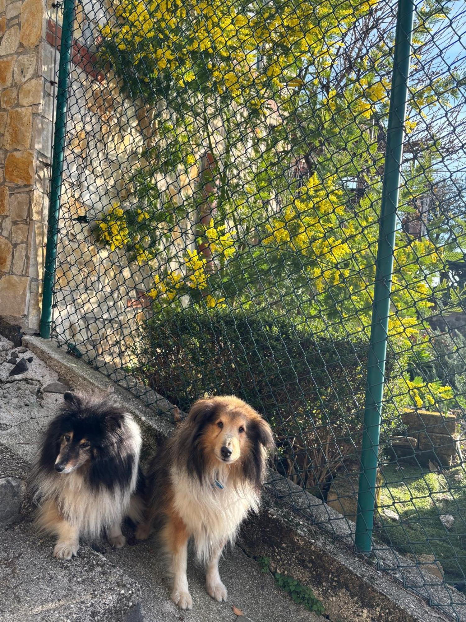 B&B Alle Scalette Trissino Экстерьер фото